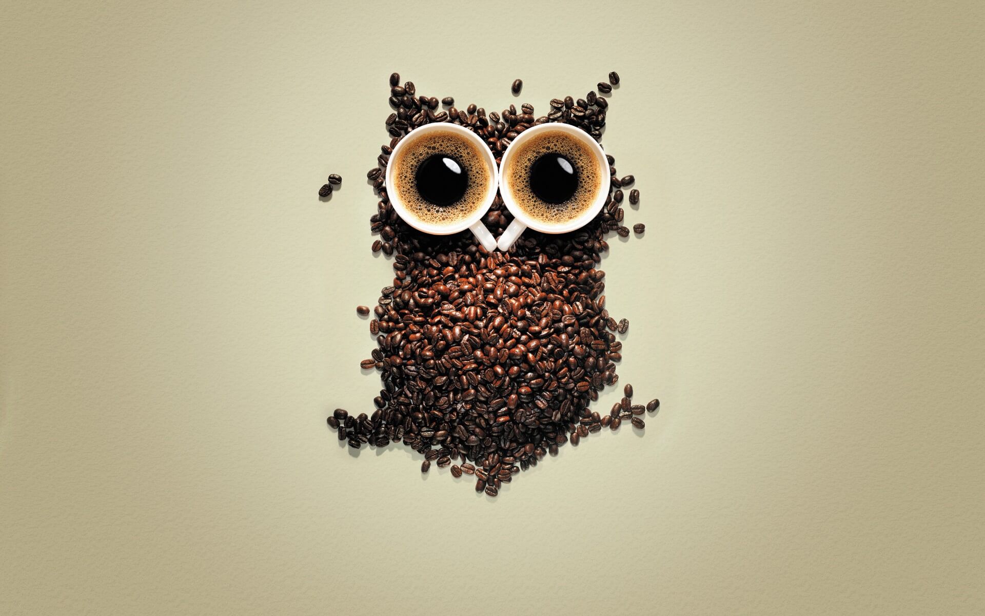 coffee-owl-wide